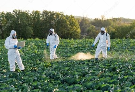 ქიმიური ინდუსტრია