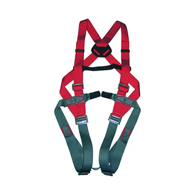 უსაფრთხოების სრული ღვედი