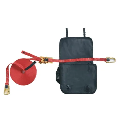 პოზიციური თასმა