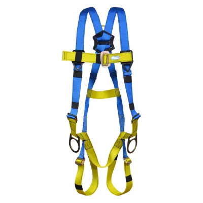 სრული ღვედი